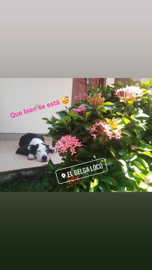 Las Peñitas El Belga Loco酒店 外观 照片