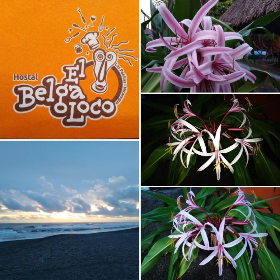 Las Peñitas El Belga Loco酒店 外观 照片